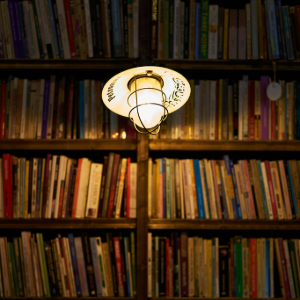 Hauptbild des Beitrags